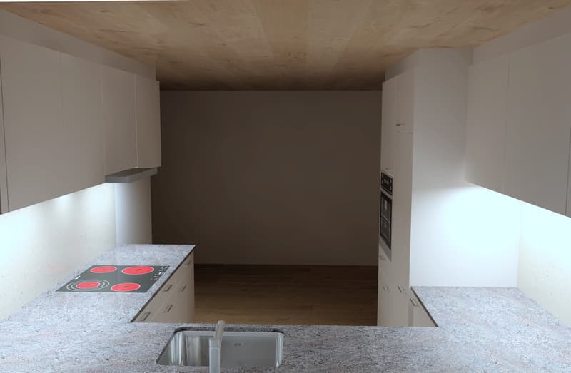 Frisch renovierte 4-Zimmer-Wohnung (2)