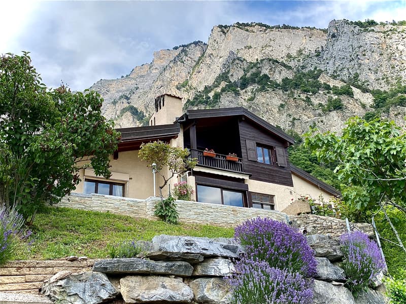 Belle maison à louer en Valais (1)
