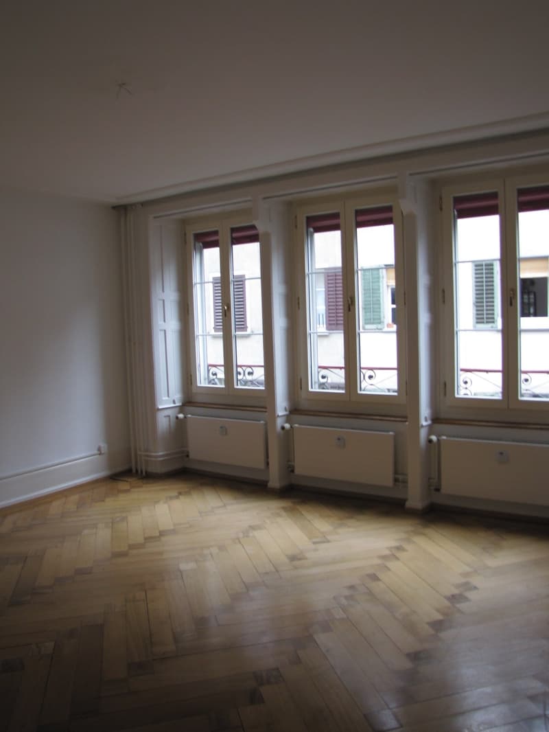 11/2-Zimmerwohnung im Zentrum von Luzern (ca. 210 m2) (2)