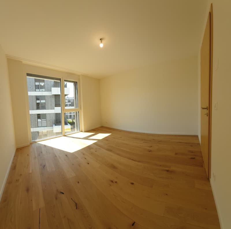 Magnifique appartement neuf 4.5 p à louer, 103m2, Lausanne (2)