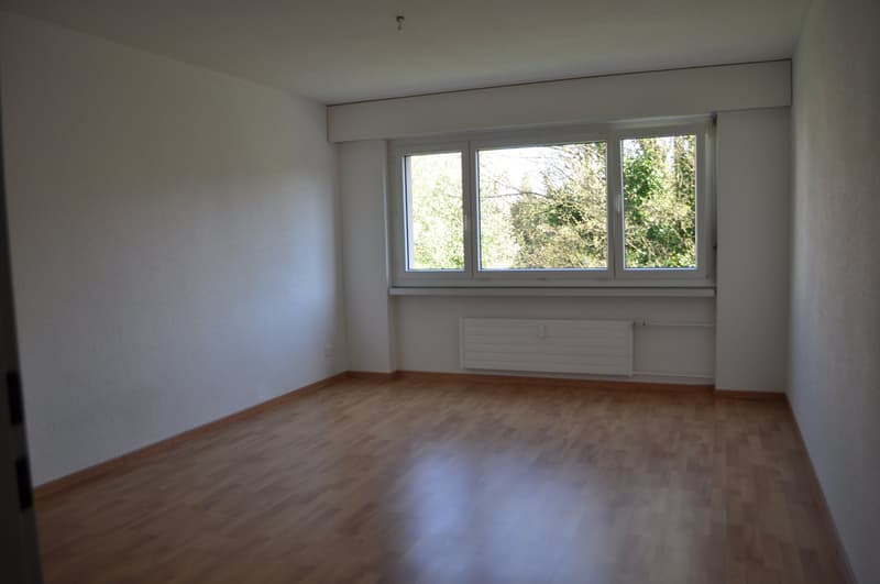 Schöne 4 1/2-Zimmerwohnung mit 130 m2 zu vermieten (2)