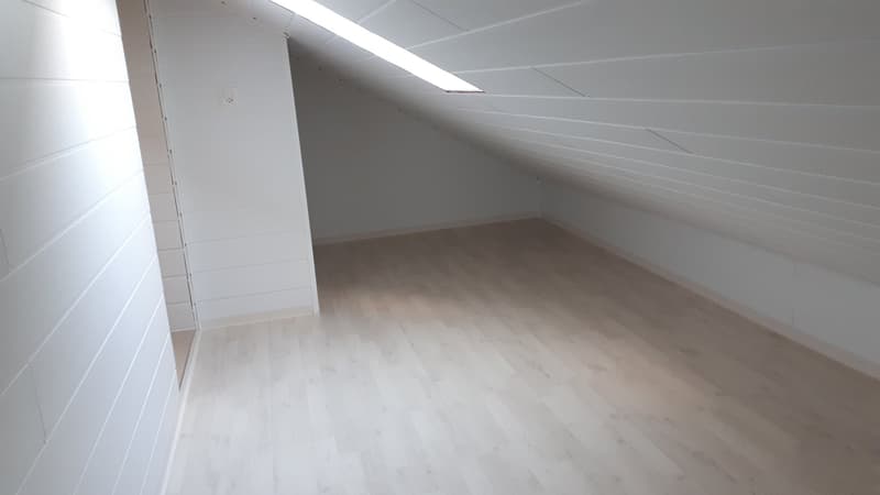 Bel appartement lumineux fraichement rénové à Givisiez (5)