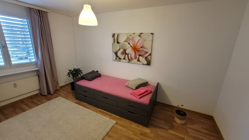 moderne günstige 4.5 Z. Wohnung in Amriswil (2)