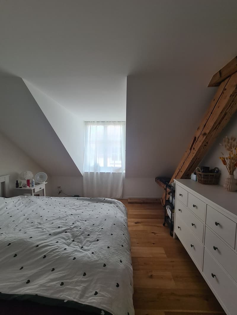 Moderne 5.5-Zimmer-Wohnung in der Solothurner Vorstadt (2)