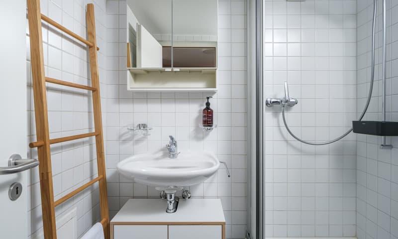 1 Zimmer Wohnung Münster Goms renoviert (2)