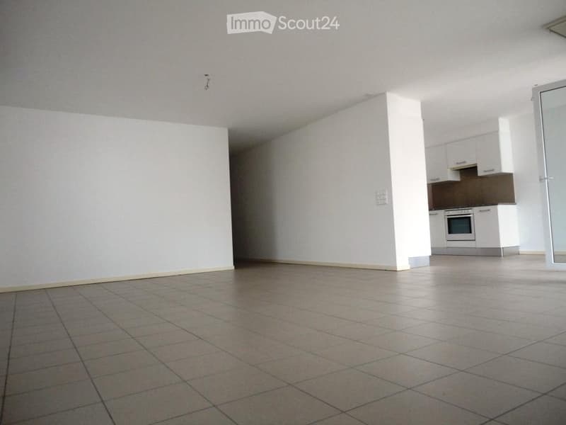 Vente d'un appartement lumineux et spacieux à Giubiasco (2)