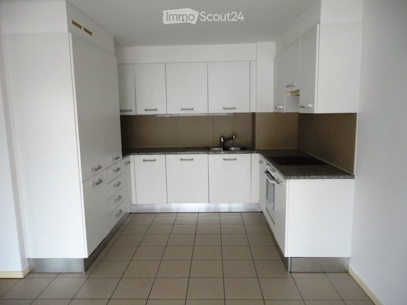 Vente d'un appartement lumineux et spacieux à Giubiasco (3)
