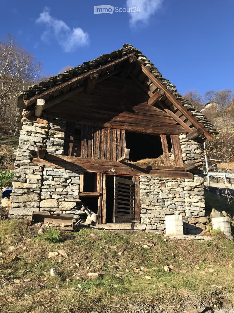 Rustico (2)