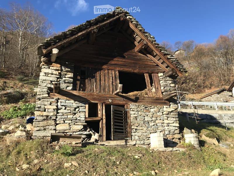 Rustico (1)