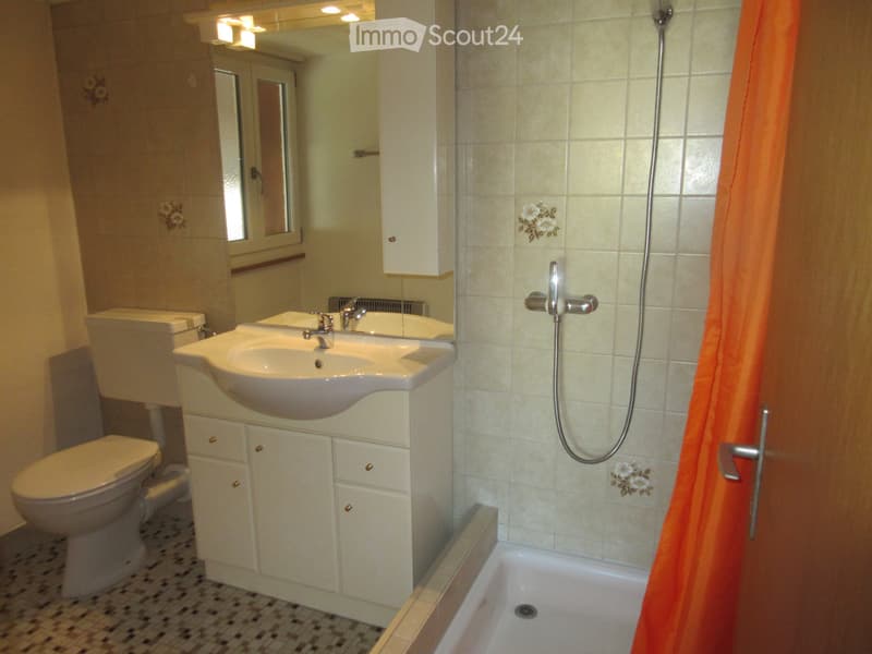 Appartement 2,5 pièces (selon entente) (5)
