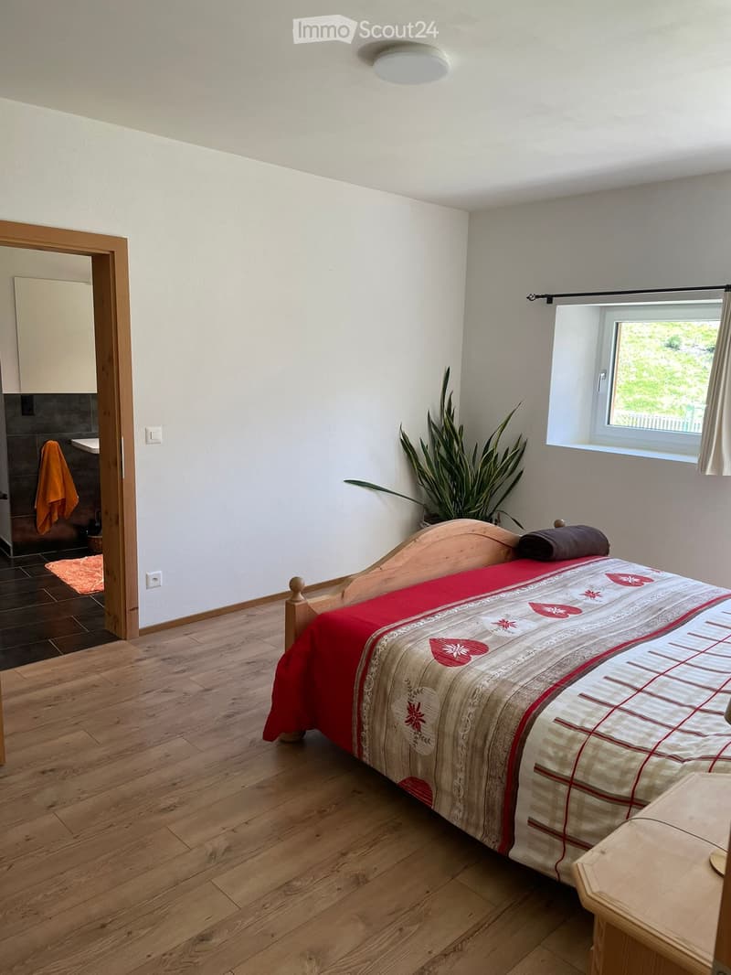 Zu vermieten ab sofort grosse Wohnung (2)