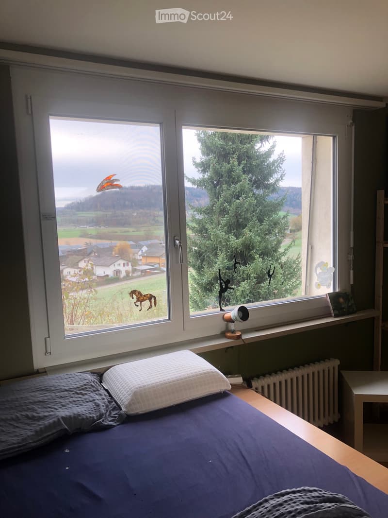 Chambre en colocation (2)