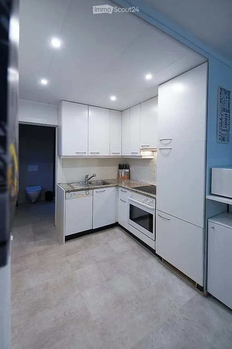 Appartement meublé de 1,5 pièces à louer (2)