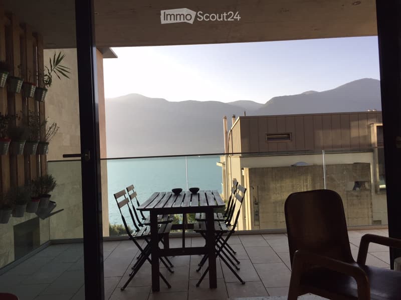 Location à Brissago (5)
