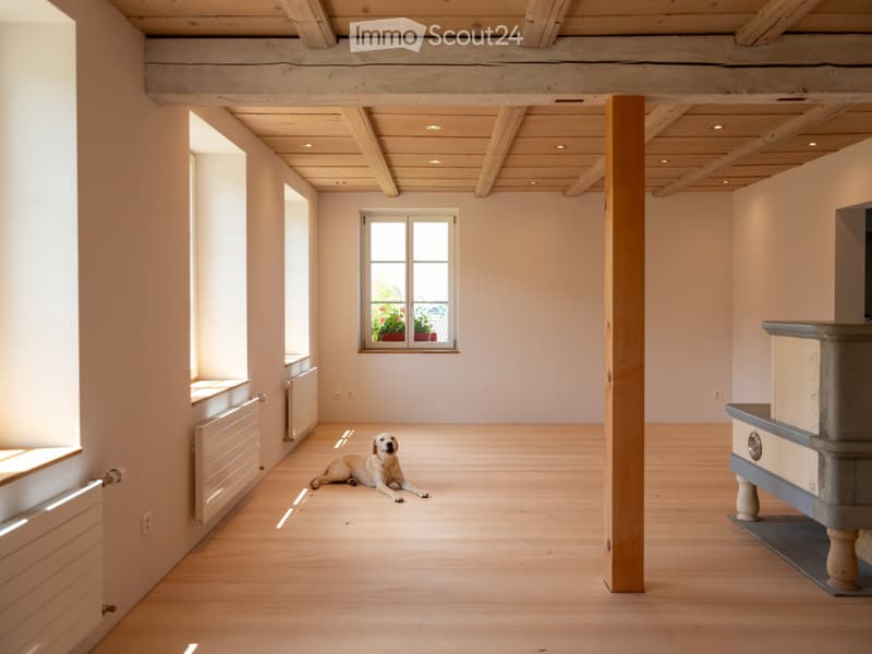 New modern 2.5 room apartment with charm in a farmhouse on the ground floor (9)
