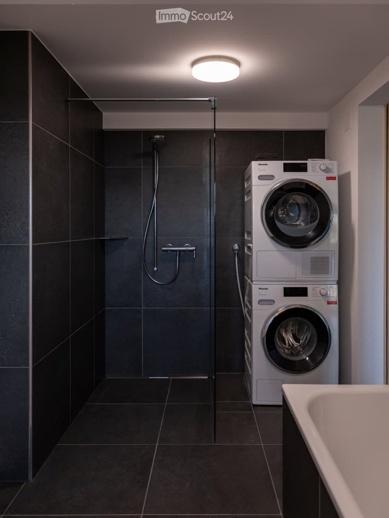 New modern 2.5 room apartment with charm in a farmhouse on the ground floor (8)