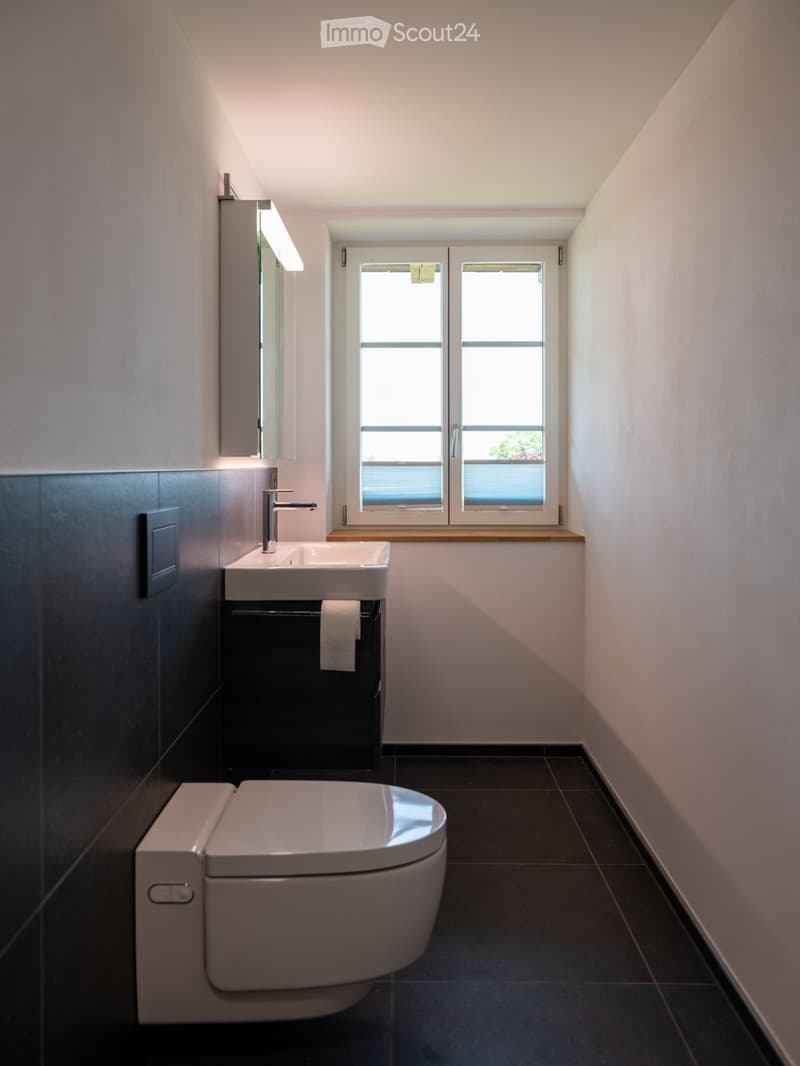New modern 2.5 room apartment with charm in a farmhouse on the ground floor (7)