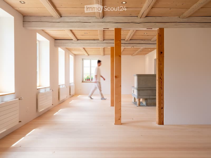 New modern 2.5 room apartment with charm in a farmhouse on the ground floor (12)