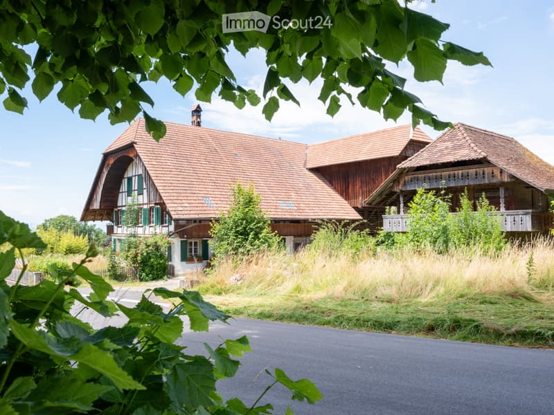 New modern 2.5 room apartment with charm in a farmhouse on the ground floor (1)