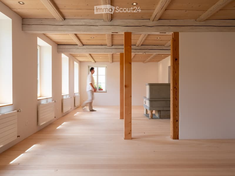 New modern 2.5 room apartment with charm in a farmhouse on the ground floor (11)