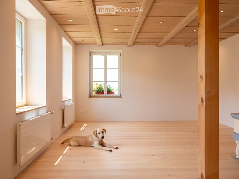 New modern 2.5 room apartment with charm in a farmhouse on the ground floor (10)
