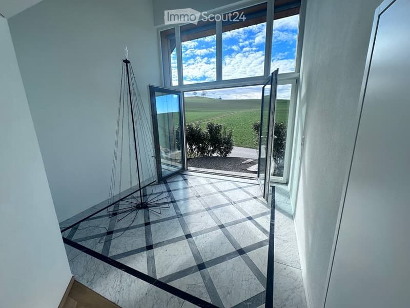 Luxury Finished Apartment near Bern (2)