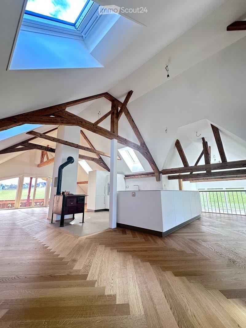 Luxury Finished Apartment near Bern (3)