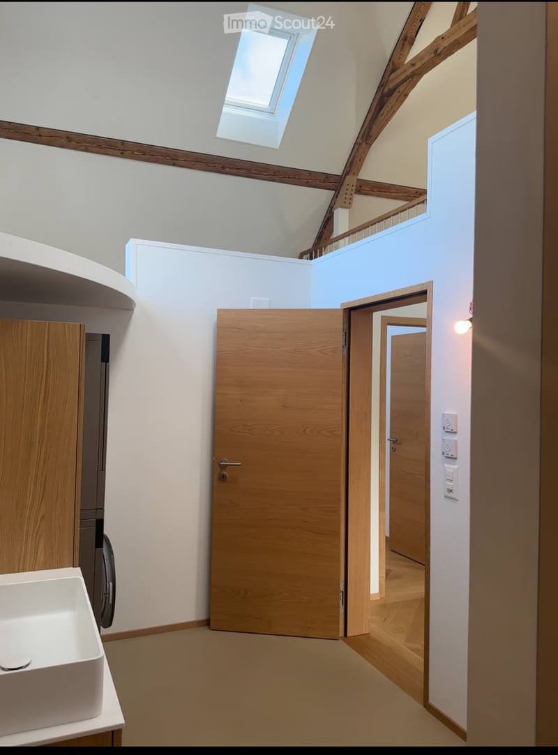 Luxury Finished Apartment near Bern (5)