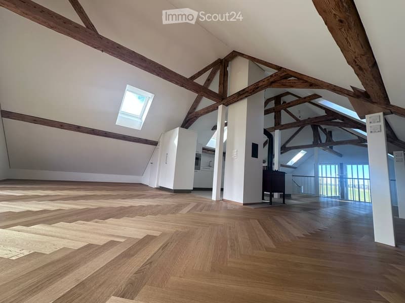 Luxury Finished Apartment near Bern (4)