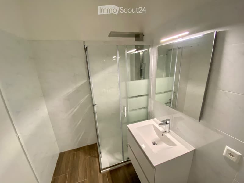 Appartement rénové à vendre à Lugano (5)