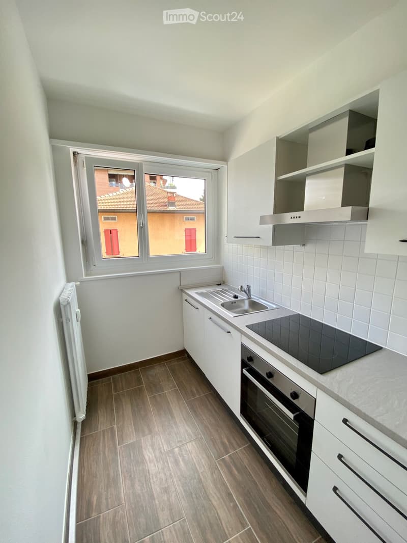 Appartement rénové à vendre à Lugano (3)