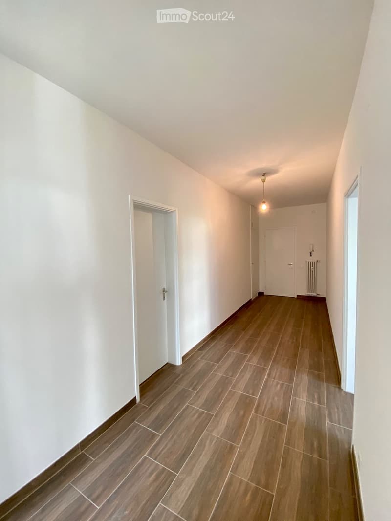 Appartement rénové à vendre à Lugano (4)