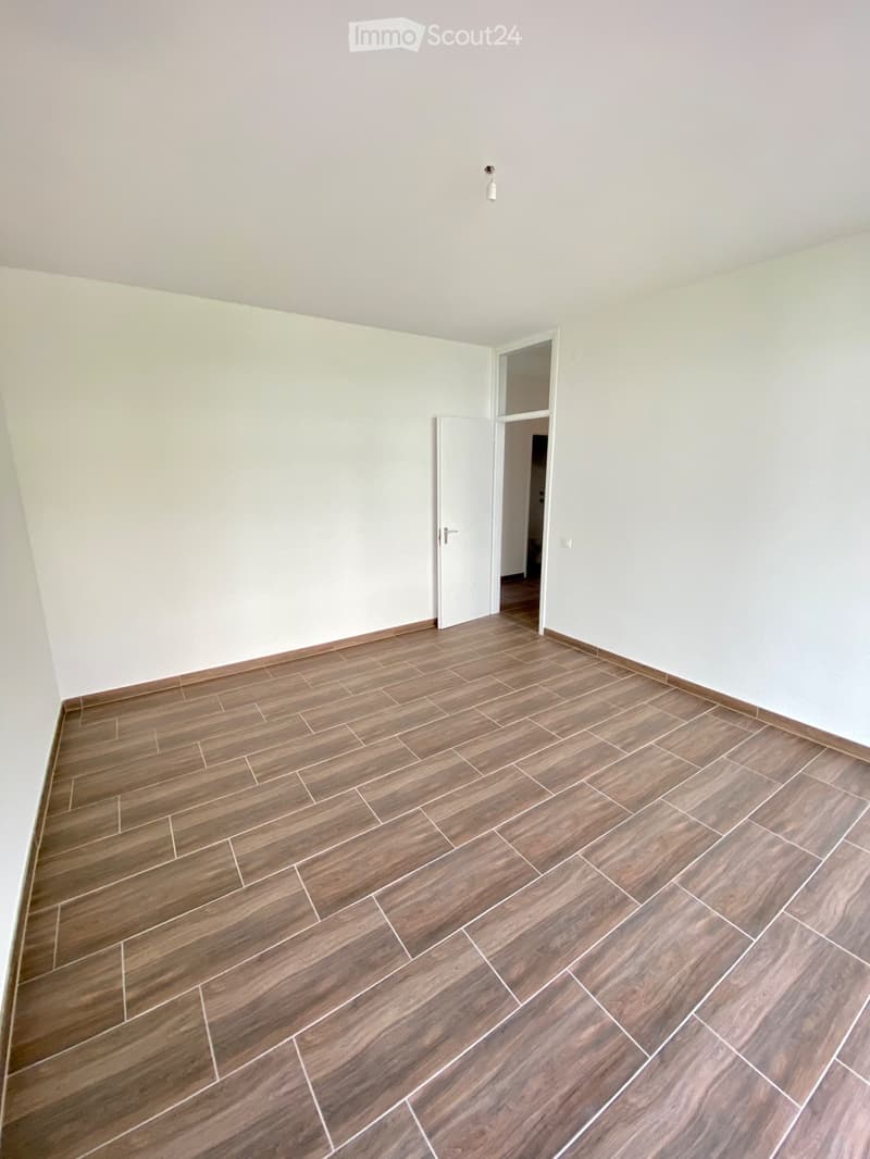 Appartement rénové à vendre à Lugano (2)