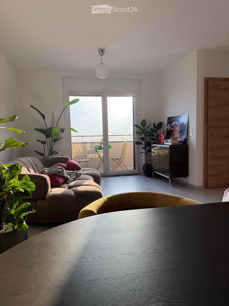 Attique exclusif avec vue sur le lac et parking privé double (3)