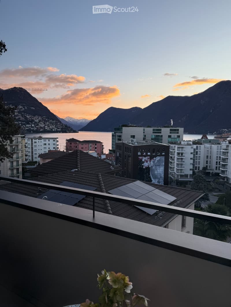Attique exclusif avec vue sur le lac et parking privé double (4)