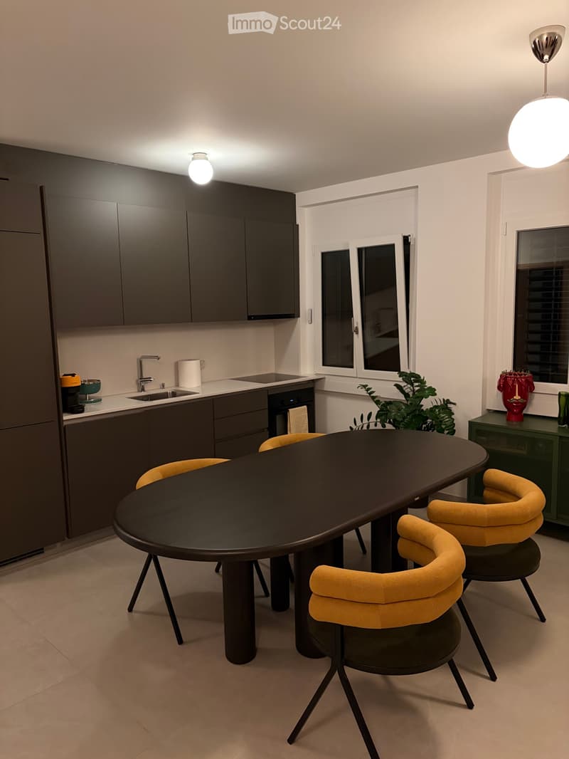 Attique exclusif avec vue sur le lac et parking privé double (2)