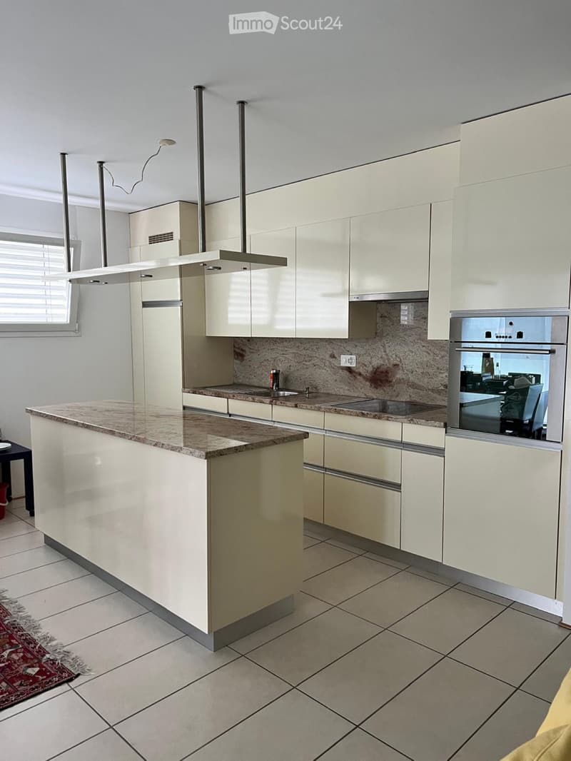 Appartement lumineux à Losone (4)