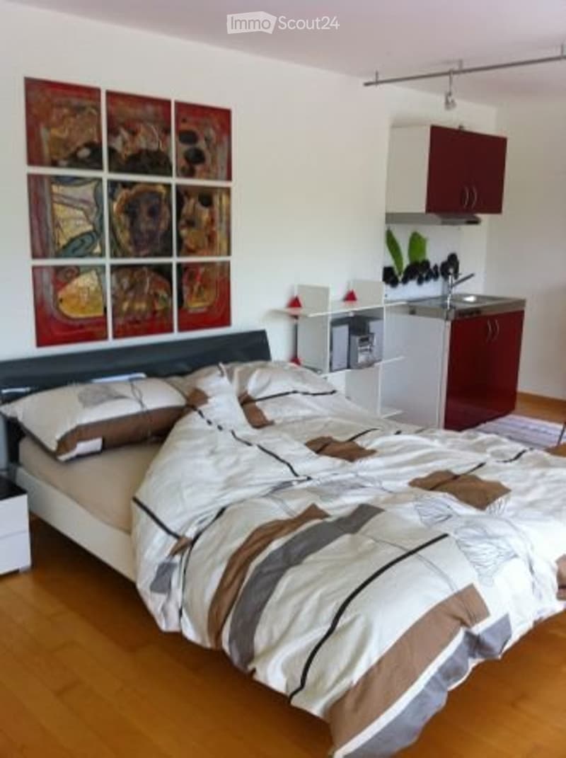 Studio dans un emplacement de rêve à Schöftland (3)