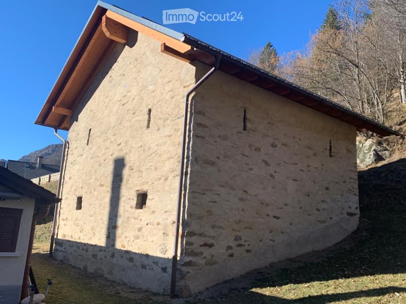 Rustikales Haus mit genehmigtem Projekt - letzter Preis (4)