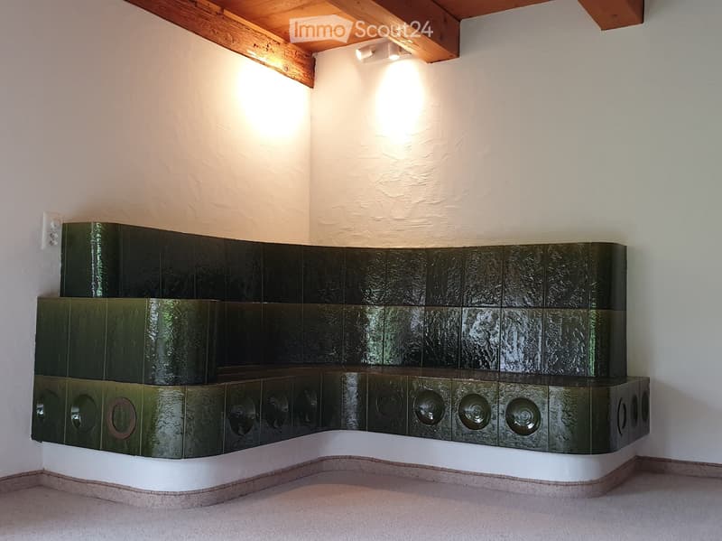 Spaziosa maisonette di 4,5 locali in un ambiente verde (termine limitato) (2)