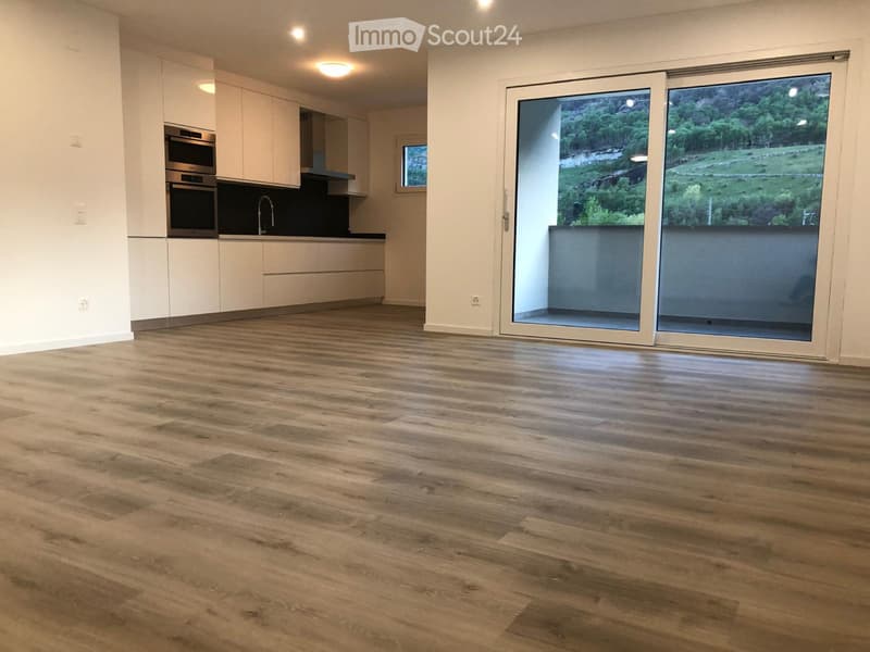 POLLEGIO appartement 3,5 pièces (3)