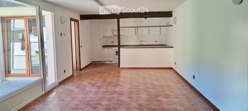 Modern and cozy 4.5-room apartment with large terrace (3)