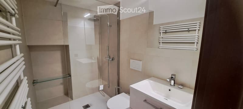 Modern and cozy 4.5-room apartment with large terrace (5)