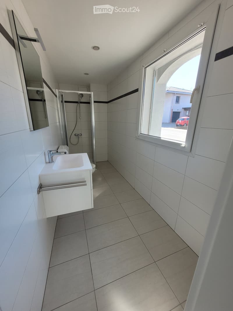Appartement rénové à louer (2 pièces) - Cadempino (3)