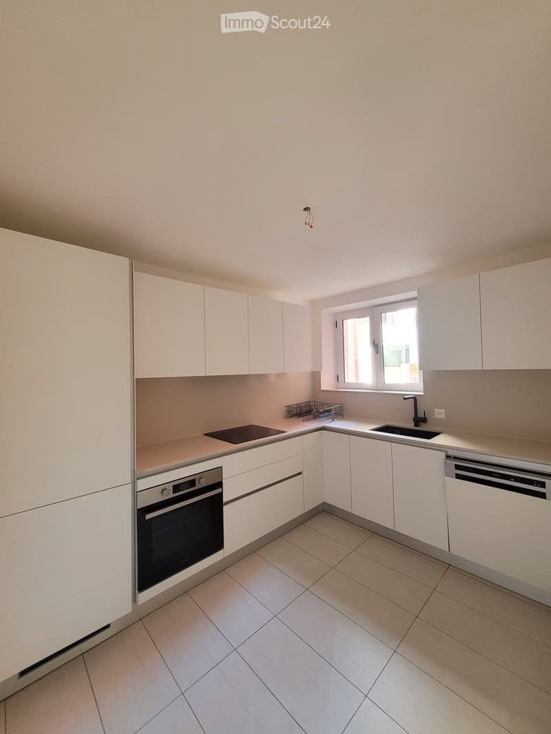 Appartement rénové à louer (2 pièces) - Cadempino (4)