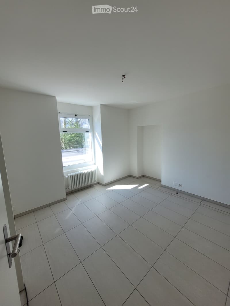 Appartement rénové à louer (2 pièces) - Cadempino (2)