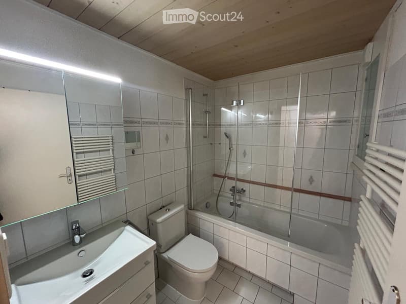 5 1/2 Zimmerwohnung über den Dächern von Steckborn (1)