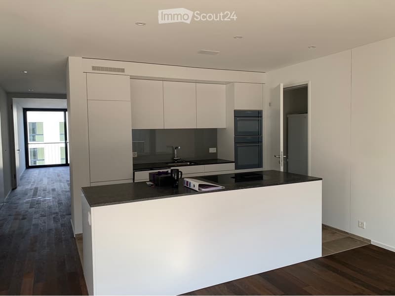 Stilvolle 2,5 Zimmer-Neubauwohnung am Fluss Sihl (1)