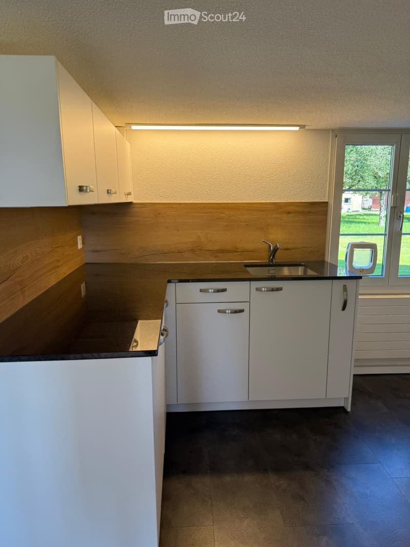 Charming 5.5-room single-family house (5)