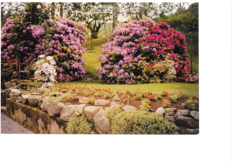 House for sale from the 30s, "Bella Vista" area - 6832 Pedrinate (3)